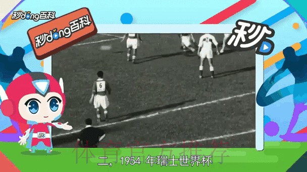 最新官方世界杯比分动态追踪